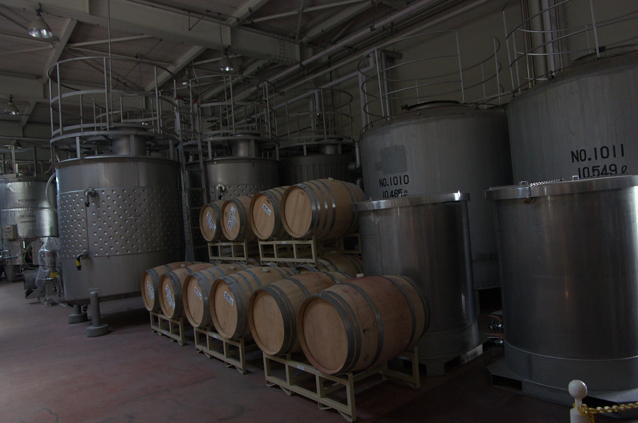 IMGP1324.jpg(258552 byte)