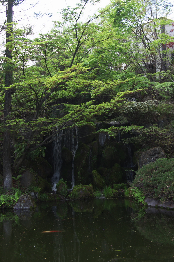 IMGP1337.jpg(455662 byte)