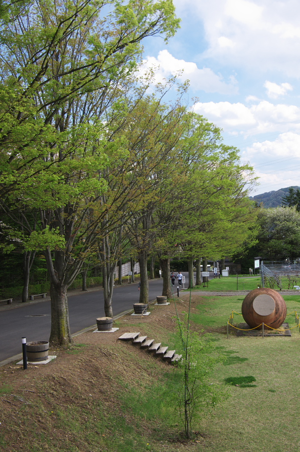 IMGP1348.jpg(492677 byte)