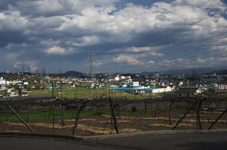 IMGP1350.jpg(335683 byte)