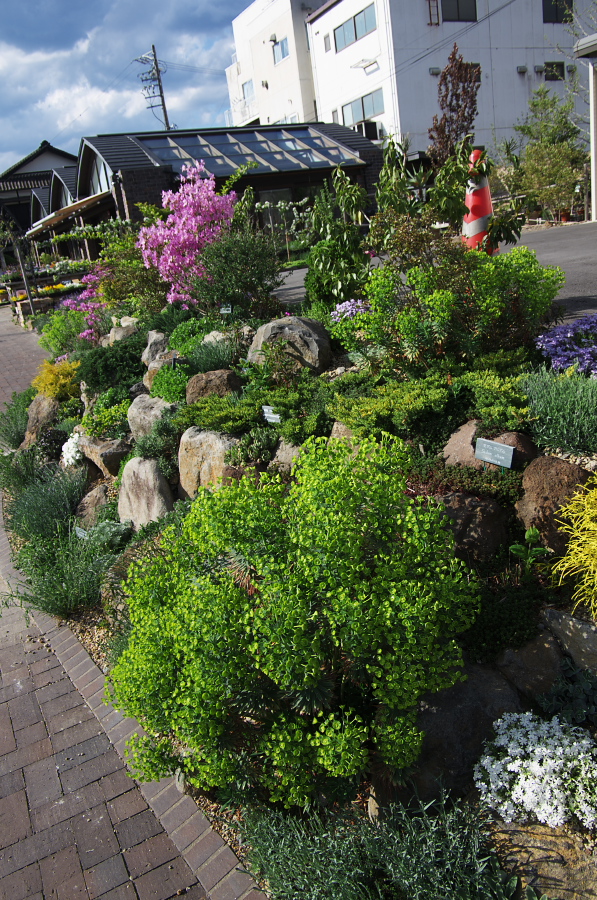 IMGP1363.jpg(574472 byte)