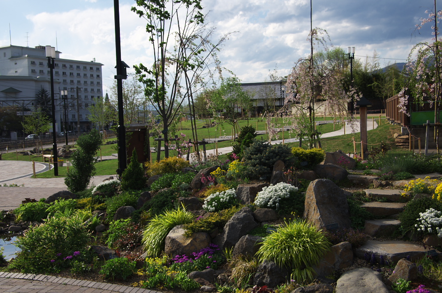 IMGP1382.jpg(474279 byte)