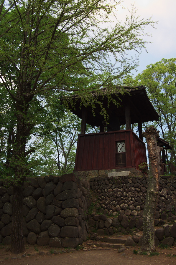 IMGP1396.jpg(483544 byte)