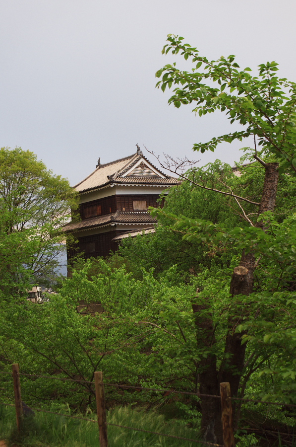 IMGP1408.jpg(414690 byte)