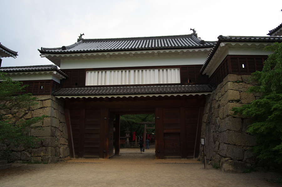 IMGP1414.jpg(279182 byte)