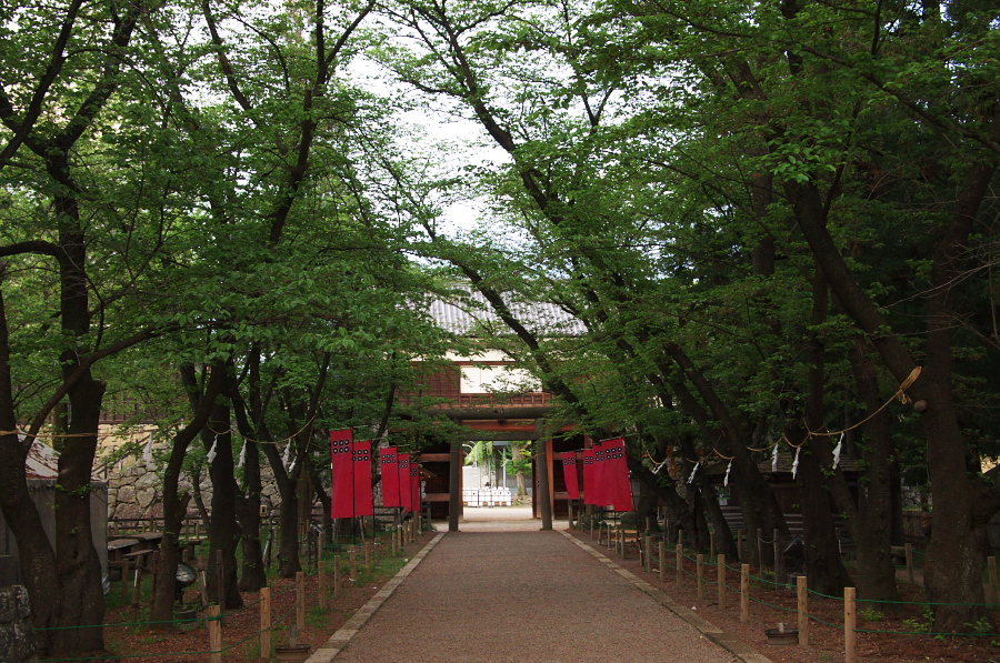 IMGP1416.jpg(538465 byte)