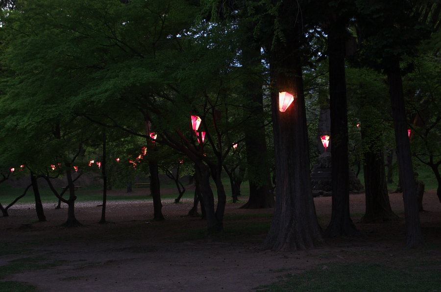 IMGP1423.jpg(278223 byte)