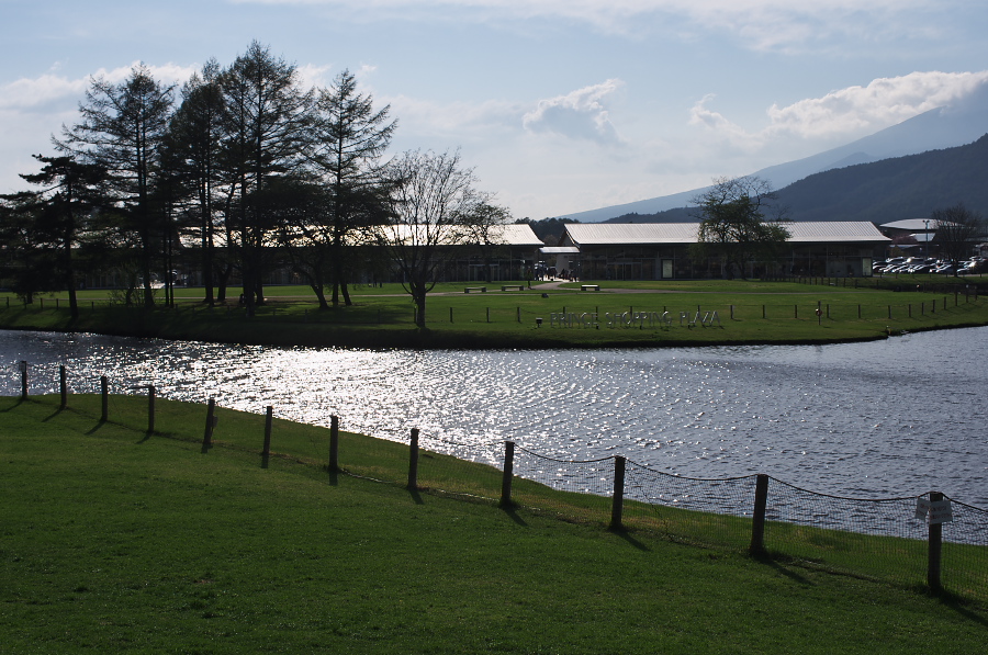 IMGP1557.jpg(376088 byte)