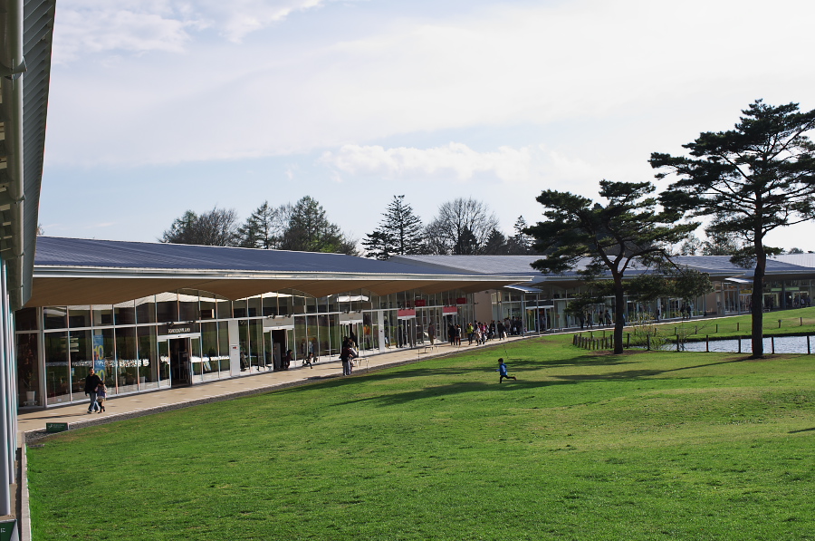 IMGP1566.jpg(363942 byte)