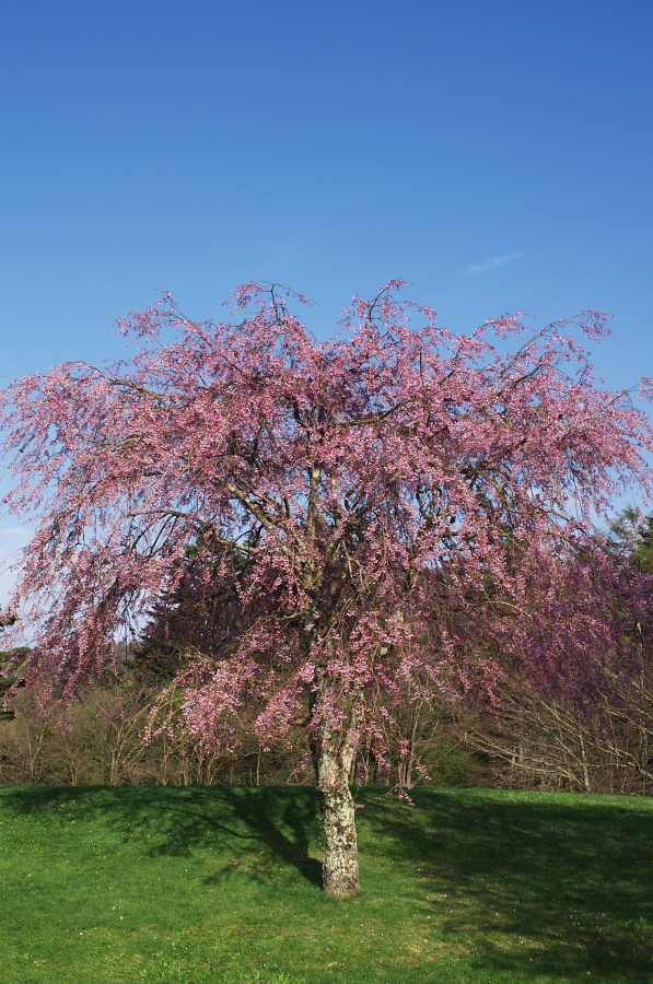 IMGP1575.jpg(451969 byte)