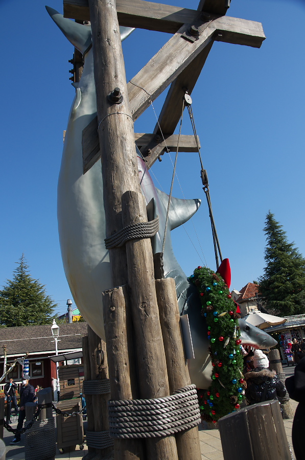 IMGP2075.jpg(333654 byte)