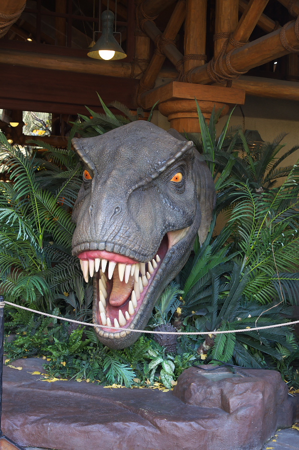 IMGP2105.jpg(443799 byte)