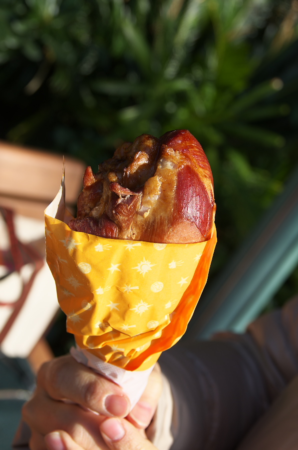 IMGP2112.jpg(217650 byte)