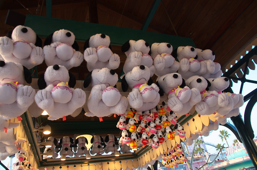 IMGP2203.jpg(367770 byte)