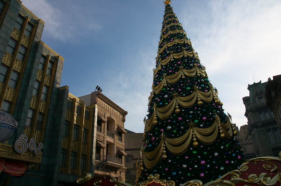 IMGP2158.jpg(340459 byte)