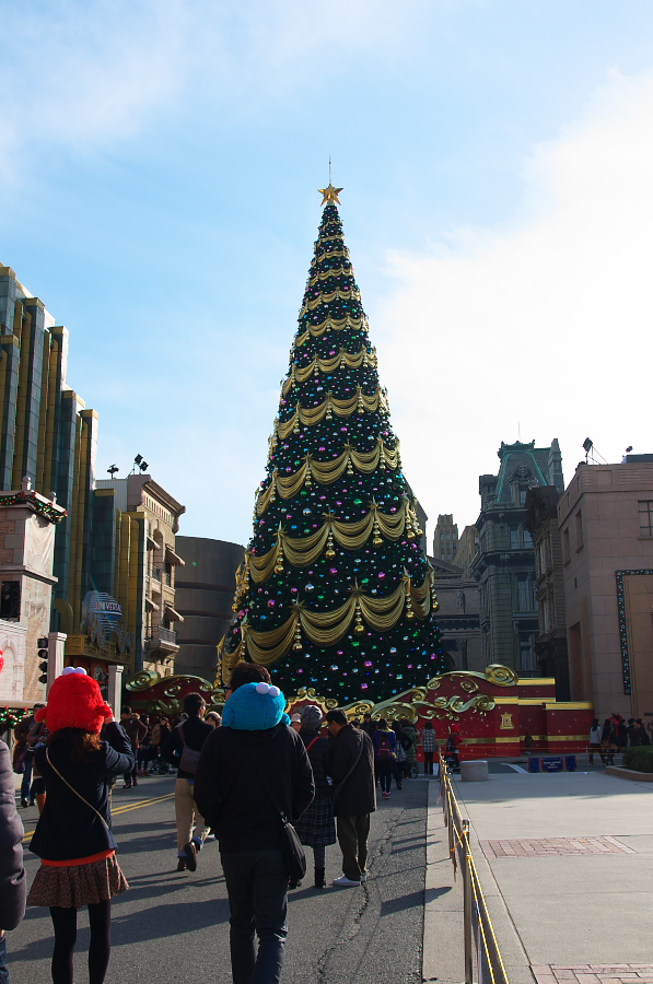 IMGP2161.jpg(301995 byte)