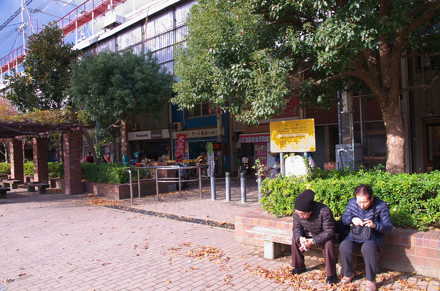 IMGP2394.jpg(567248 byte)