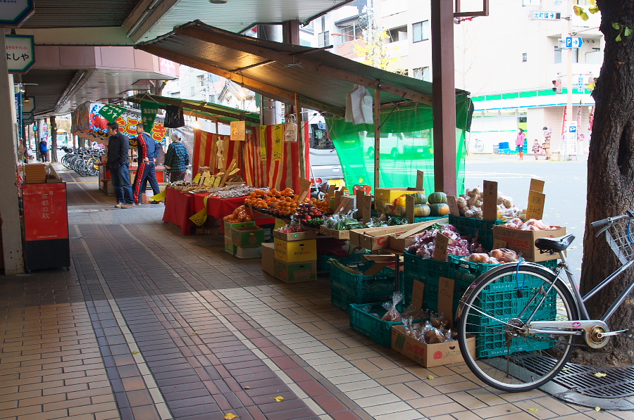 IMGP2406.jpg(477522 byte)