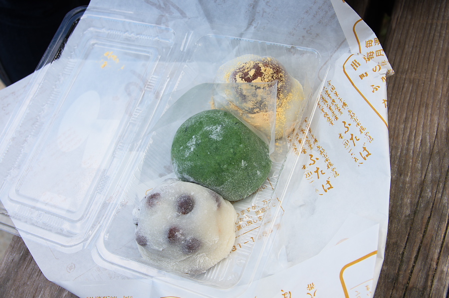 IMGP2420.jpg(312214 byte)