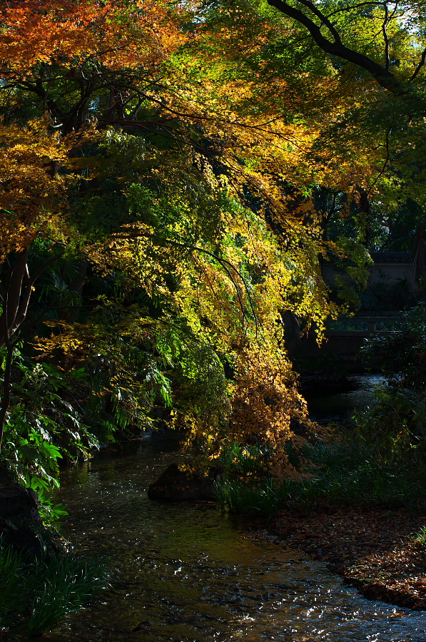 IMGP2468.jpg(665531 byte)