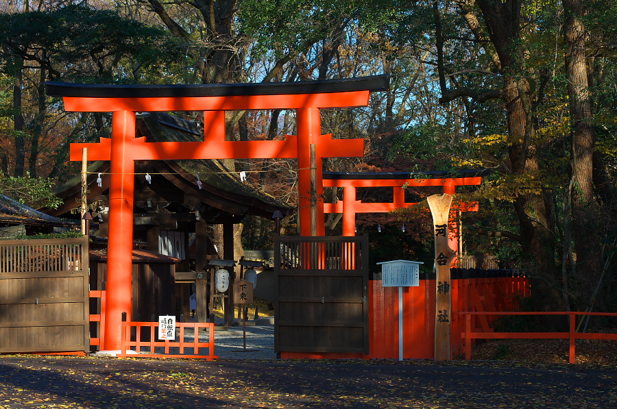 IMGP2486.jpg(541631 byte)