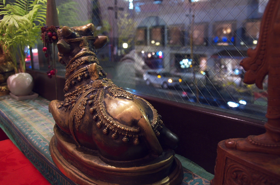 IMGP2563.jpg(348663 byte)