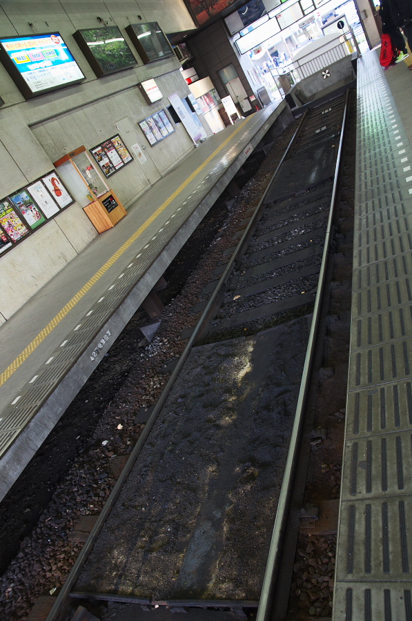 IMGP2647.jpg(398520 byte)