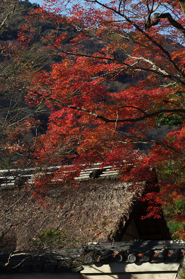 IMGP2696.jpg(648198 byte)