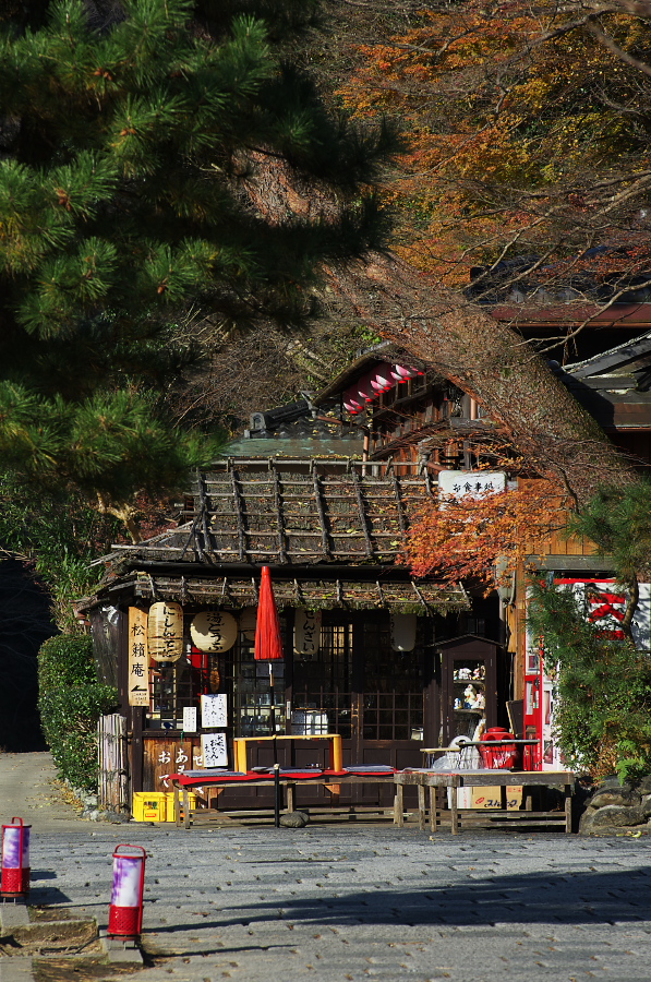 IMGP2699.jpg(547145 byte)