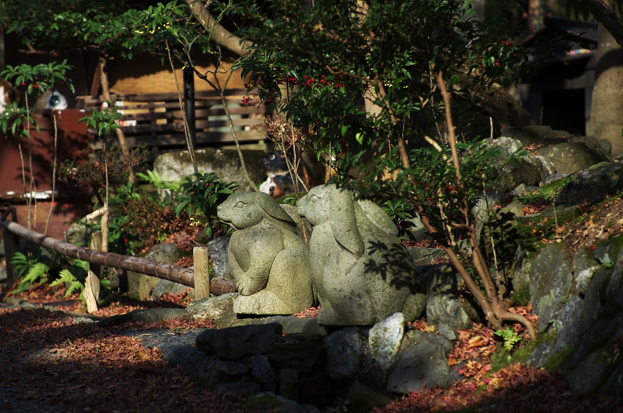 IMGP2703.jpg(434356 byte)