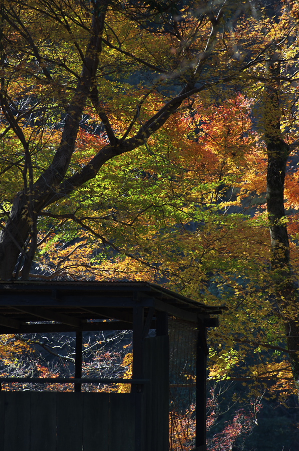 IMGP2719.jpg(569395 byte)