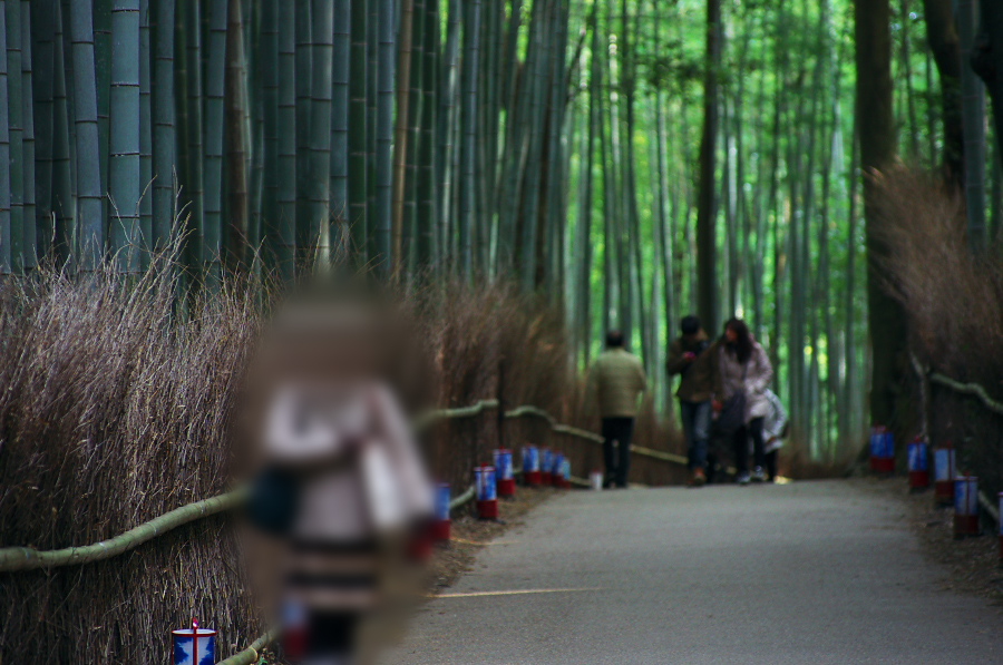 IMGP2738-.jpg(292635 byte)