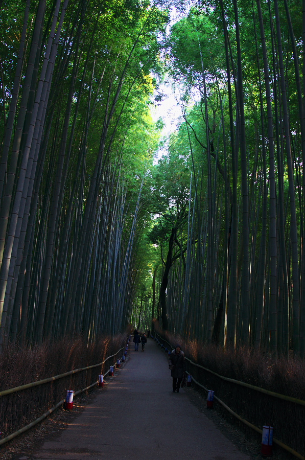 IMGP2751.jpg(473463 byte)