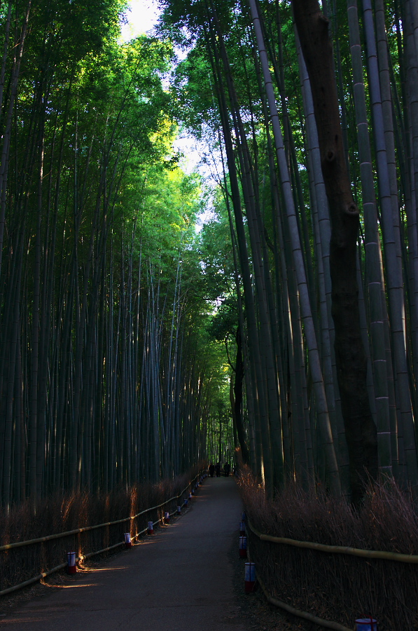 IMGP2760.jpg(415899 byte)