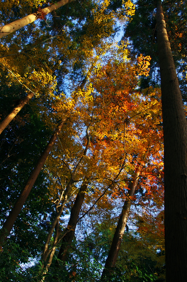 IMGP2763.jpg(665392 byte)