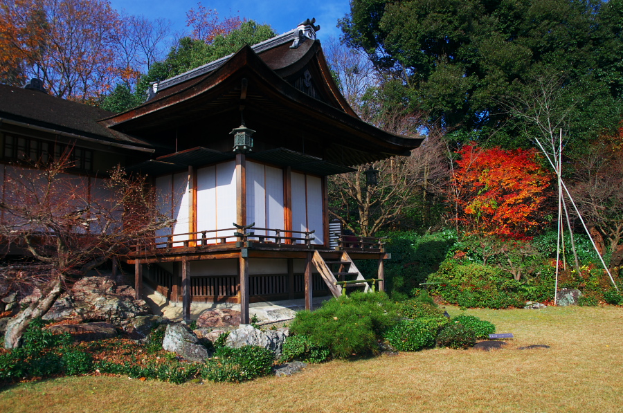 IMGP2779.jpg(548349 byte)