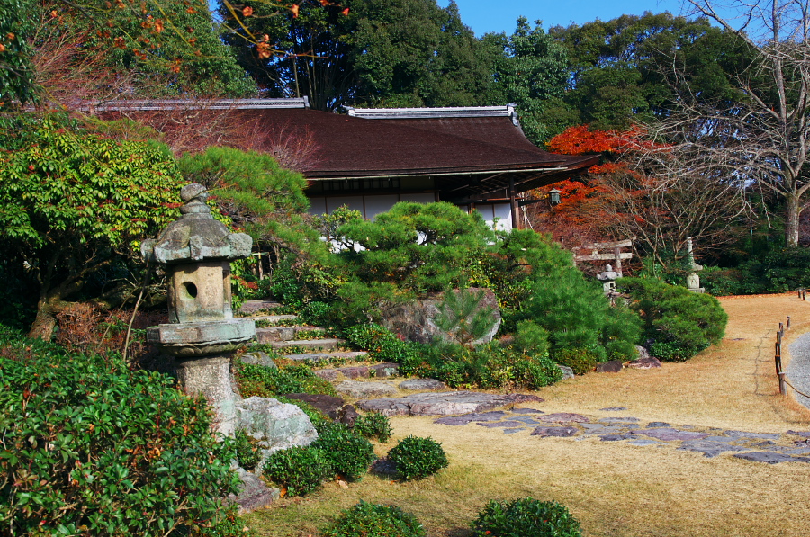 IMGP2785.jpg(625311 byte)