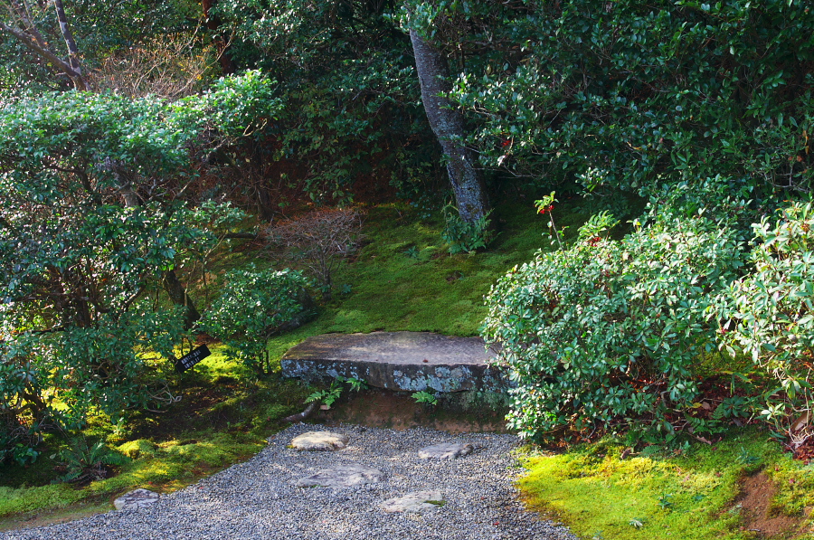 IMGP2787.jpg(662404 byte)