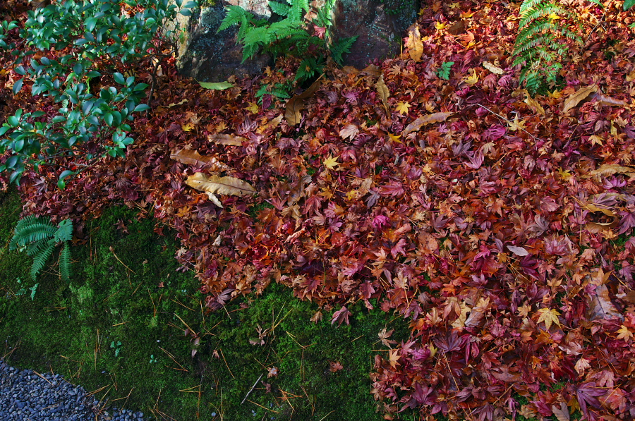 IMGP2791.jpg(678894 byte)