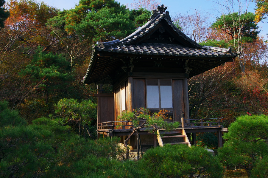 IMGP2805.jpg(495751 byte)