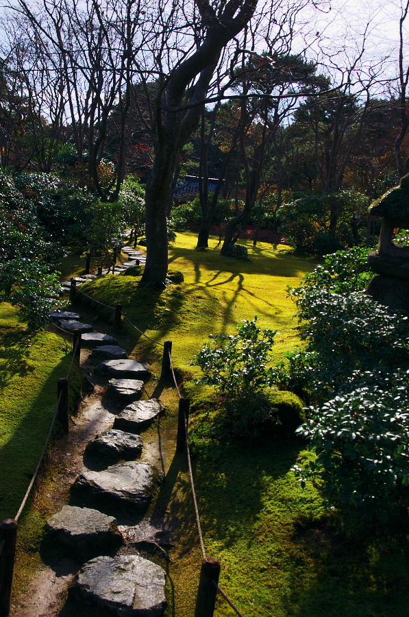 IMGP2822.jpg(563274 byte)