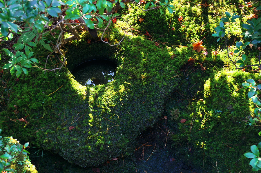 IMGP2829.jpg(615407 byte)