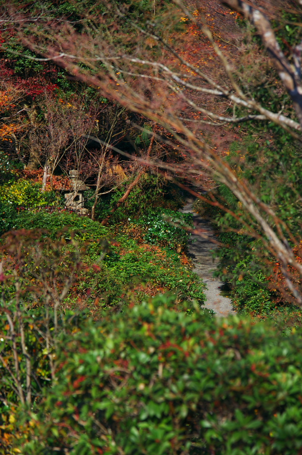 IMGP2838.jpg(477436 byte)