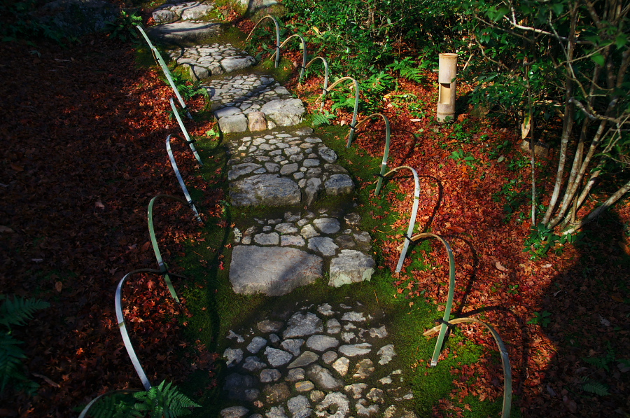 IMGP2848.jpg(543013 byte)