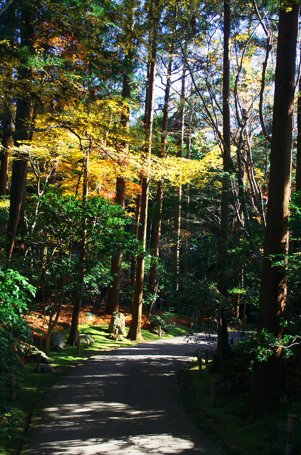 IMGP2860.jpg(633458 byte)