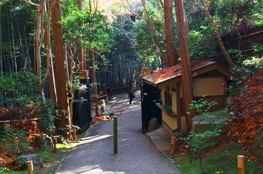 IMGP2862.jpg(598064 byte)