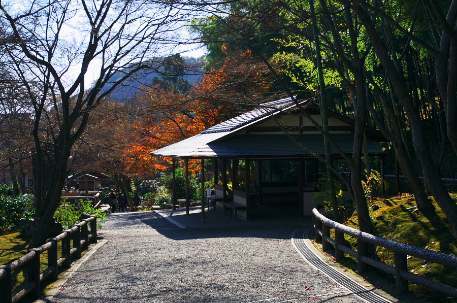 IMGP2870.jpg(563538 byte)