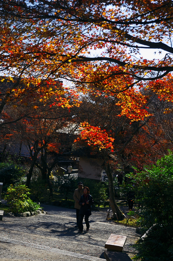 IMGP2875.jpg(657017 byte)