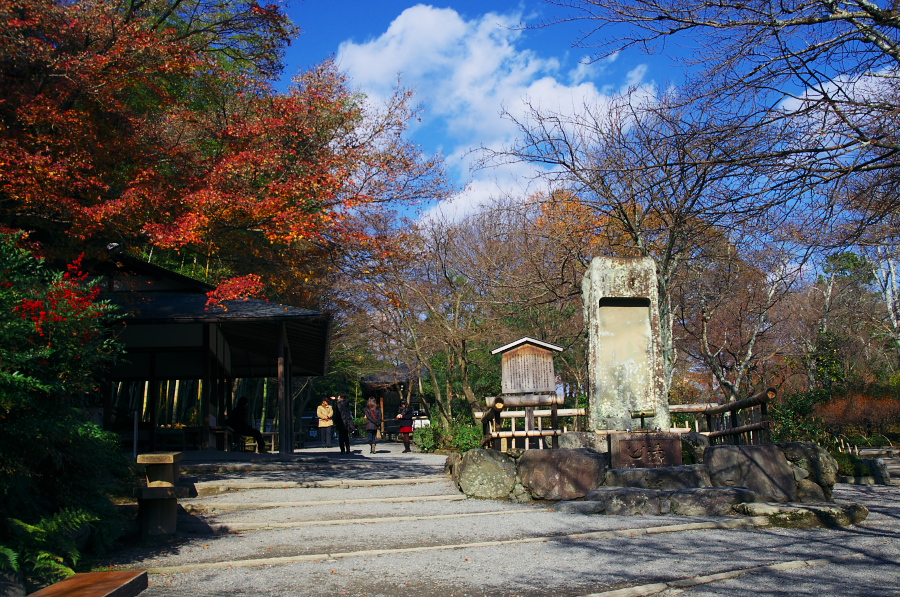 IMGP2878.jpg(572873 byte)