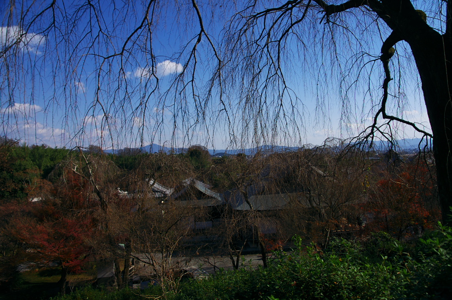 IMGP2886.jpg(492234 byte)